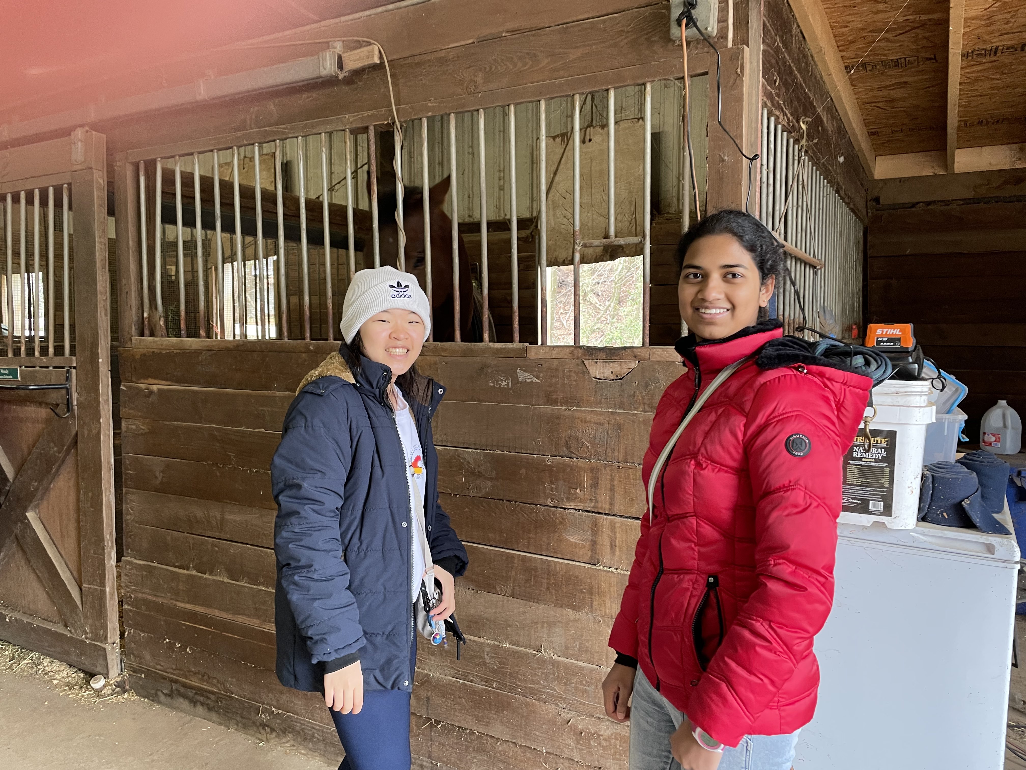 Srinidhi and Sophie are at the farm visiting the horses!