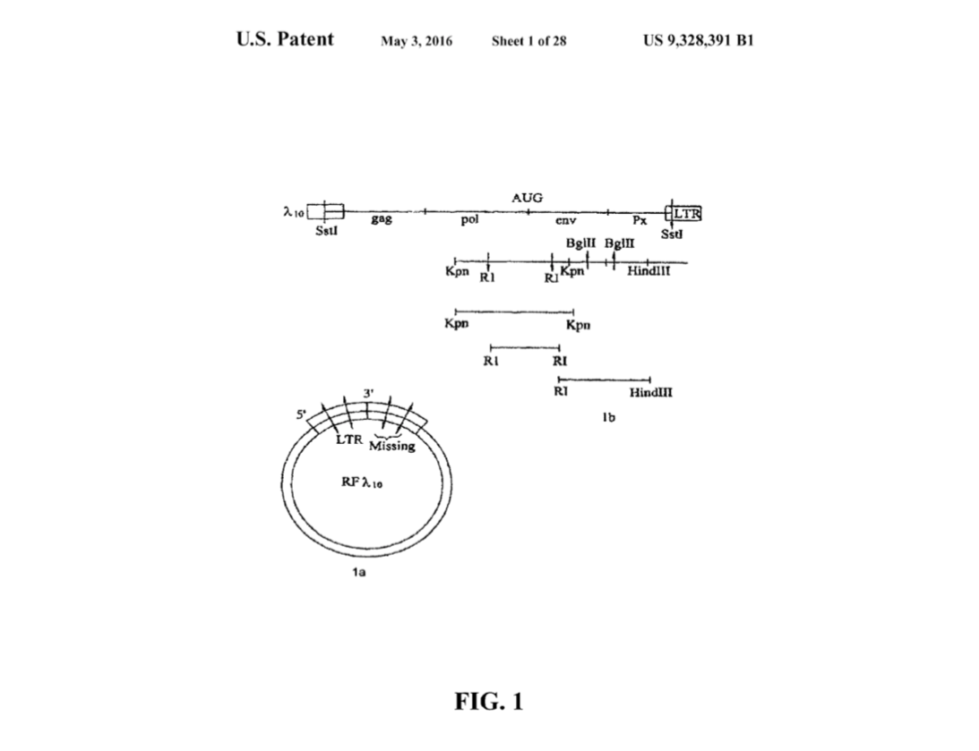 Wong-Staal's patent drawing for cloning and expression of HIV-1 DNA
