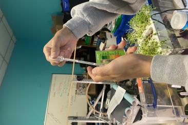 Testing our plant soil levels!
