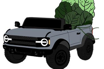 Hand Drawn Bronco Rover with Collard Greens displaying on top.